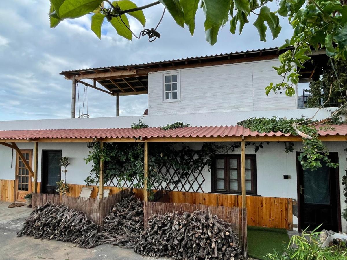 Los Conejos Санта-Крус-де-Тенерифе Экстерьер фото