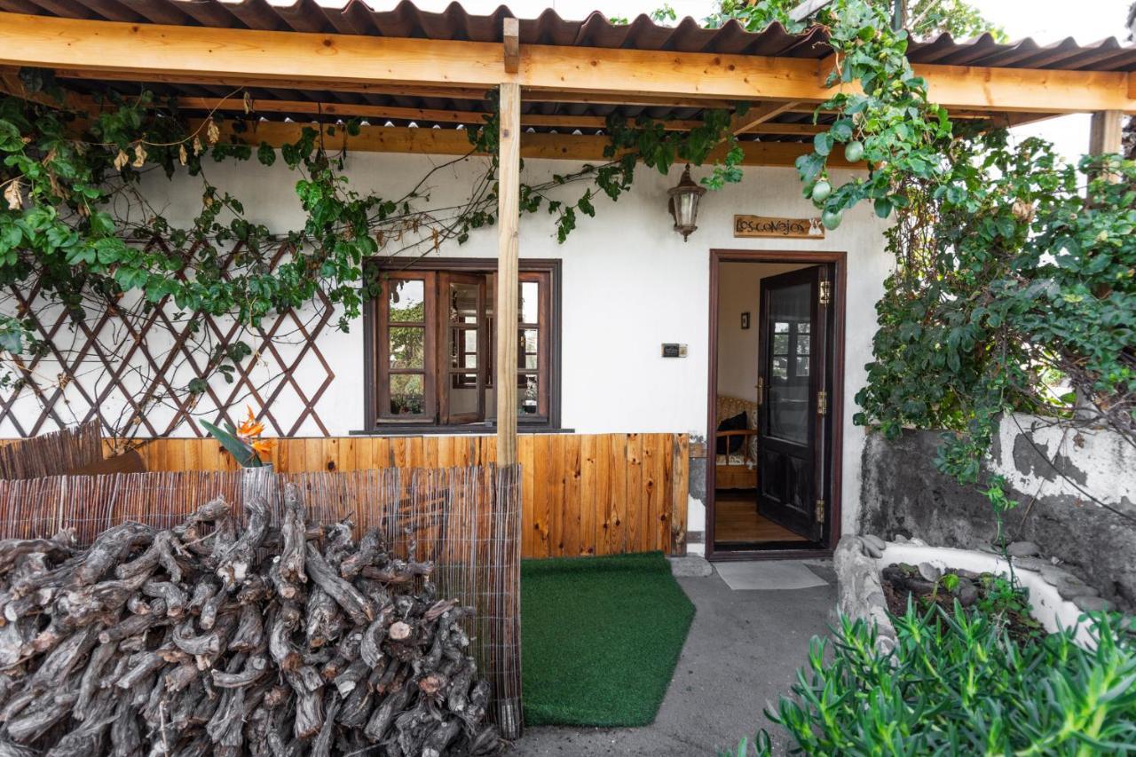 Los Conejos Санта-Крус-де-Тенерифе Экстерьер фото